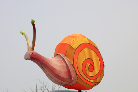 Snail shape Close-upのeditorial素材