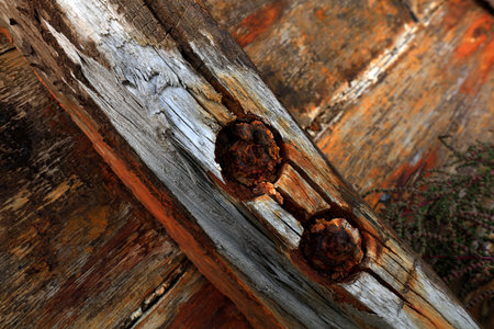 dilapidated rotten boardの写真素材