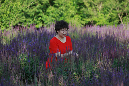 Luannan County-June 1, 2019: A lady is playing in lavender flowers, Luannan County, Hebei Province, Chinaのeditorial素材