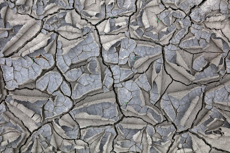 Dry cracked land