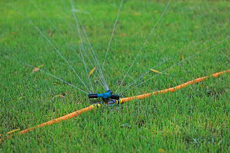 Sprinkler irrigation facilities in the lawnの写真素材