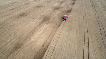 Rotary tiller planters grow peas on farms, Luannan County, Hebei Province, China