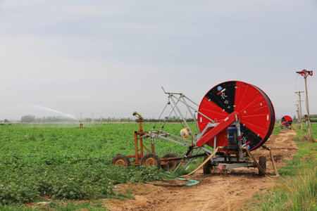 Sprinkler irrigation facilities in farmlandのeditorial素材