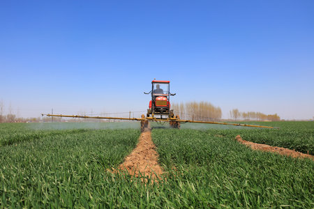 Luannan County-April 10, 2019: self propelled boom sprayer spraying foliar fertilizer on a farm, Luannan County, Hebei Province, Chinaのeditorial素材