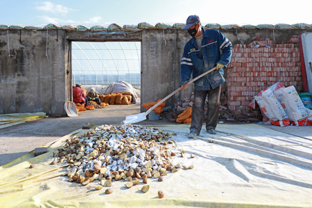 LUANNAN COUNTY-March 3, 2020: Farmers are mixing fungicides for potatoes to grow, China, LUANNAN COUNTY, Hebei Province, Chinaのeditorial素材