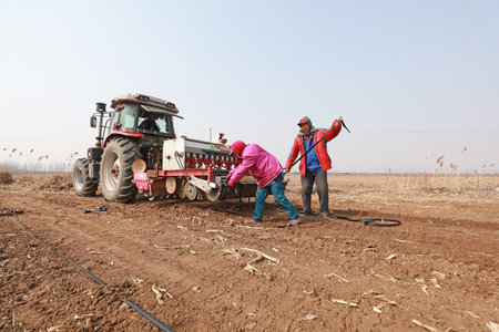 LUANNAN COUNTY, China-March 6, 2020: farmers use planters to grow potatoes on farms, LUANNAN COUNTY,...