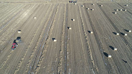Farmers use agricultural machinery to compress rice straw and bundle them on a farm in North China