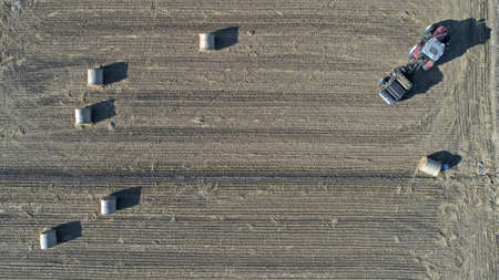 Farmers use agricultural machinery to compress rice straw and bundle them on a farm in North Chinaの写真素材