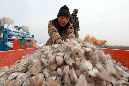 LUANNAN COUNTY, Hebei Province, China-March 12, 2020: Farmers add potato seeds to the planter on the...