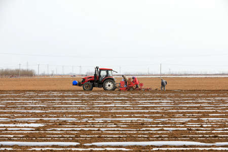 LUANNAN COUNTY, Hebei Province, China-March 12, 2020: Farmers drive planters to grow potatoes on the farm.のeditorial素材