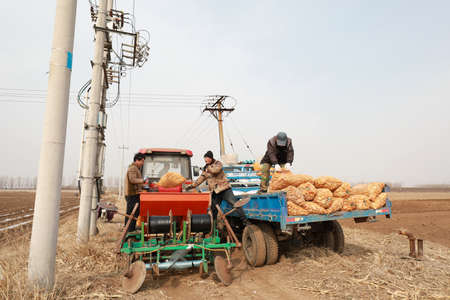 LUANNAN COUNTY, Hebei Province, China-March 12, 2020: Farmers add potato seeds to the planter on the farm.のeditorial素材