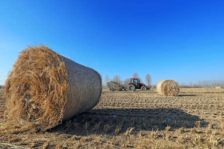 LUANNAN COUNTY, China-December 24, 2020: farmers use agricultural machinery to compress rice straw and bundle them on a farm, LUANNAN COUNTY, Hebei Province, Chinaのeditorial素材