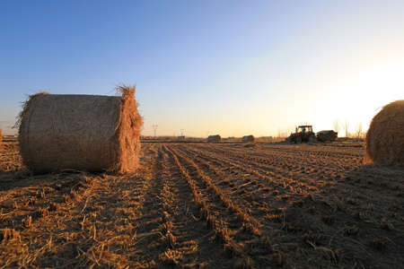 LUANNAN COUNTY, China-December 24, 2020: farmers use agricultural machinery to compress rice straw and bundle them on a farm, LUANNAN COUNTY, Hebei Province, Chinaのeditorial素材