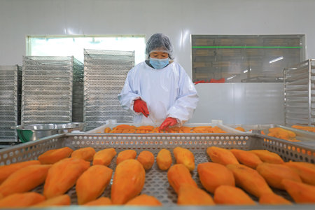 LUANNAN COUNTY, China-December 20, 2020: The workers are cutting the cooked sweet potatoes on the...