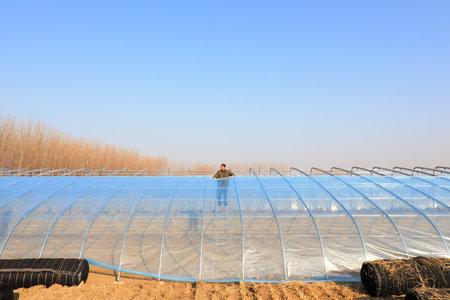 LUANNAN COUNTY, China-December 10, 2020: farmers are building high standard greenhouses in a farm, LUANNAN COUNTY, Hebei Province, Chinaのeditorial素材