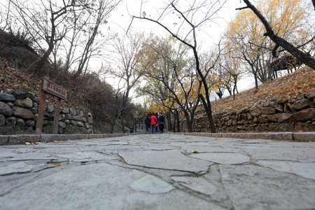 The stone road is in a scenic spotの写真素材