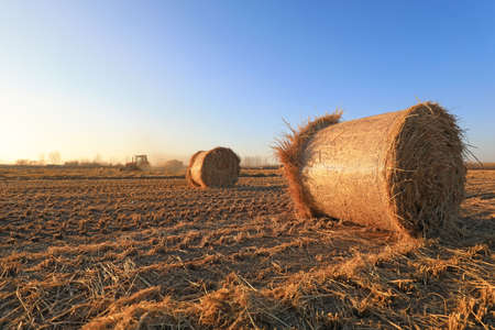 farmers use agricultural machinery to compress rice straw and bundle them on a farm, LUANNAN COUNTY, Hebei Province, Chinaの写真素材
