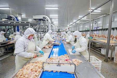 LUANNAN COUNTY, Hebei Province, China-March 17, 2020: The workers are busy in a modern broiler processing factory on the production line of broiler segmentation.のeditorial素材