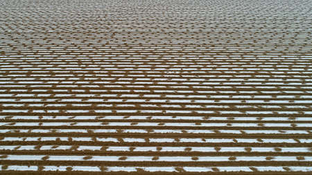 Film covered potato fields, North China, aerial photosの写真素材