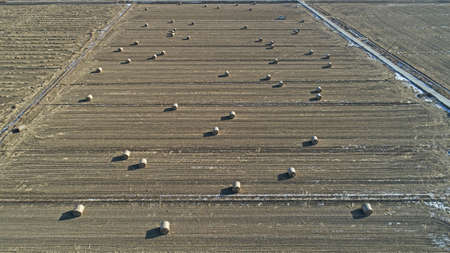 Farmers use agricultural machinery to compress rice straw and bundle them on a farm in North China