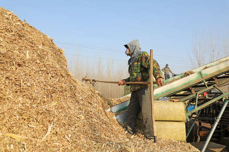 LUANNAN COUNTY, Hebei Province, China-March 20, 2020: Farmers use machinery to crush corn straw to...