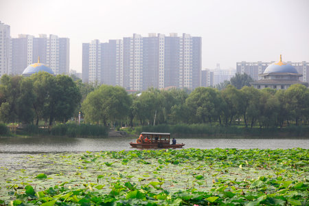 LUANNAN COUNTY, China-June 7, 2018: The boat shuttles between the lotus leaves in the lake, LUANNAN COUNTY, Hebei Province, Chinaのeditorial素材