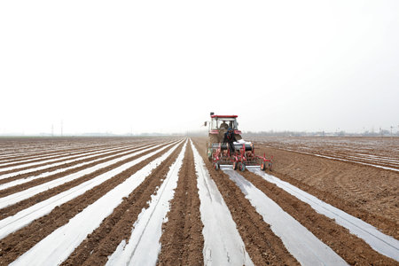 LUANNAN COUNTY, Hebei Province, China-March 31, 2020: Farmers use planters to plant peanuts in the fields.のeditorial素材