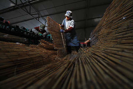 LUANNAN COUNTY, Hebei Province, China-November 12, 2020: The workers are working. The reed curtain is in the workshopのeditorial素材