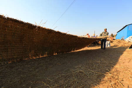 LUANNAN COUNTY, Hebei Province, China-November 10, 2020: Workers are processing straw curtains in a processing plantのeditorial素材