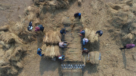 LUANNAN COUNTY, Hebei Province, China-November 6, 2020: The workers are working on the straw curtain...