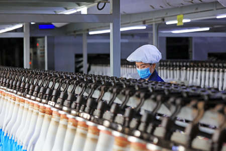 LUANNAN COUNTY, China-November 6, 2018: Female workers work on medical grade nitrile gloves production line, LUANNAN COUNTY, Hebei Province, Chinaのeditorial素材