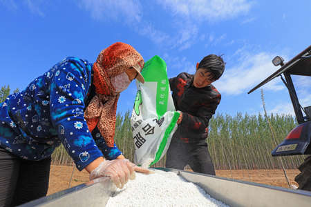LUANNAN COUNTY, Hebei Province, China-April 25, 2019: Farmers add fertilizer seeds to the planter and plant peanuts.のeditorial素材