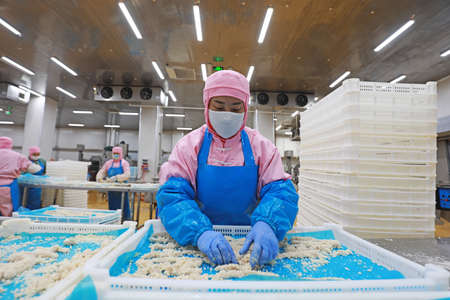 LUANNAN COUNTY, Hebei Province, China-July 28, 2020: Workers are busy in the chicken segmentation workshop in a food processing plantのeditorial素材