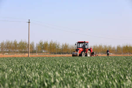 LUANNAN COUNTY, Hebei Province, China-April 22, 2020: Farmers drive seeders to grow Plastic Mulched...