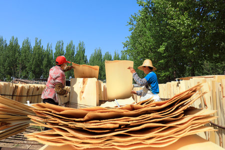 LUANNAN COUNTY, Hebei Province, China-April 27, 2020: Workers work in a wood processing plant.のeditorial素材