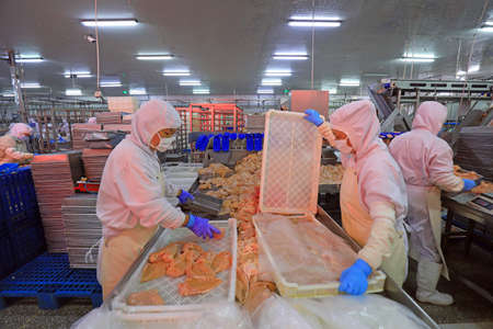 LUANNAN COUNTY, Hebei Province, China-September 14: The workers are busy in the factory on the...
