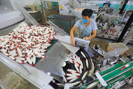 LUANNAN COUNTY, Hebei Province, China-July 17, 2020: The workers are busy on the production line in...