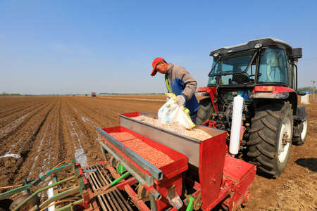 LUANNAN COUNTY, Hebei Province, China-April 27, 2020: Farmers use planters to grow Plastic Mulched peanuts.のeditorial素材