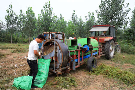 LUANNAN COUNTY, Hebei Province, China-September 14: Farmers operate peanut harvesters to harvest peanuts in the fieldsのeditorial素材