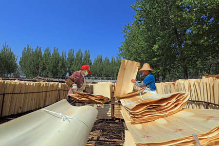 LUANNAN COUNTY, Hebei Province, China-April 27, 2020: Workers work in a wood processing plant.