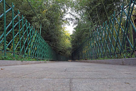 Bamboo corridor architectural landscape in the park, Beijingの写真素材
