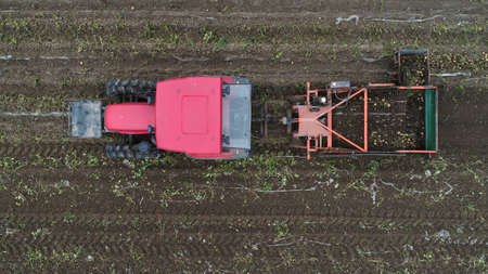 Farmers use agricultural machinery to harvest potatoes on the farm, aerial photograph