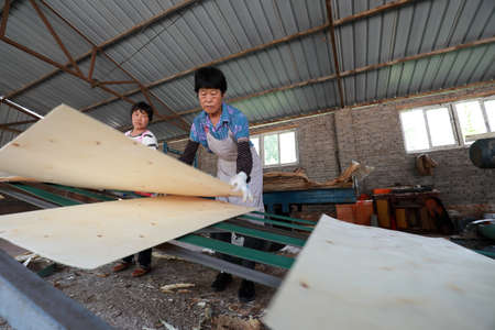 LUANNAN COUNTY, Hebei Province, China-June 16, 2020: The workers are busy on the board processing lineのeditorial素材