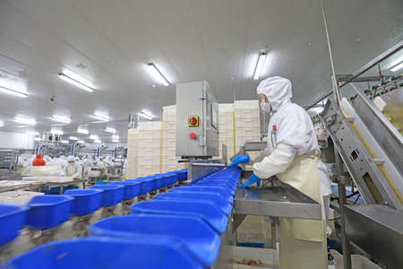 LUANNAN COUNTY, Hebei Province, China-July 28, 2020: Workers are busy on the chicken segmentation line in a food processing plantのeditorial素材