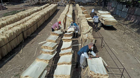 Workers work in a wood processing plant.のeditorial素材