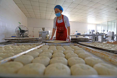 LUANNAN COUNTY, Hebei Province, China-September 27, 2020: Workers on the moon cake production line work hard in the food processing plantのeditorial素材