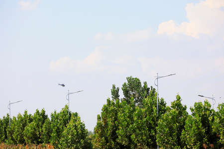 Agricultural helicopters for controlling Hyphantria cunea spray pesticides over the cityの写真素材