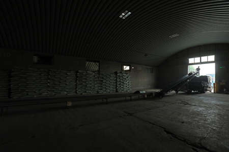 LUANNAN COUNTY, Hebei Province, China-September 14, 2020: The workers carried the feed on conveyor belt in the factoryのeditorial素材