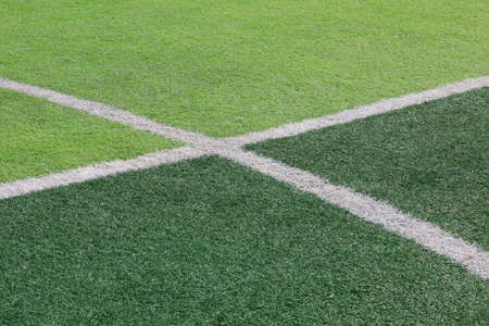 The white line is on the green lawnの写真素材