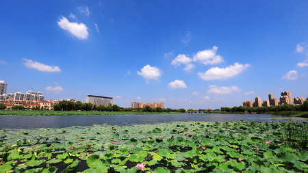 Beautiful waterfront city scenery, North Chinaのeditorial素材
